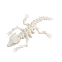 3D printed movable Dragon skeleton