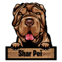 Wooden plaques with dog breed name