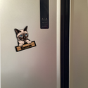 Cat magnets with cat name or breed name